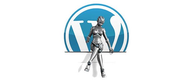 ottimizzare un file robots txt per wordpress